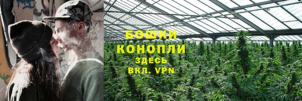 ГАЛЛЮЦИНОГЕННЫЕ ГРИБЫ Арсеньев
