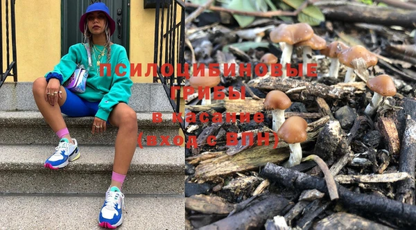 ГАЛЛЮЦИНОГЕННЫЕ ГРИБЫ Арсеньев