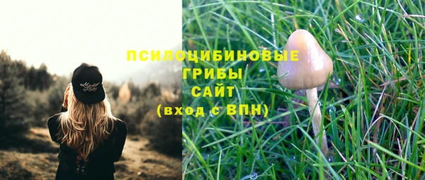 ГАЛЛЮЦИНОГЕННЫЕ ГРИБЫ Арсеньев