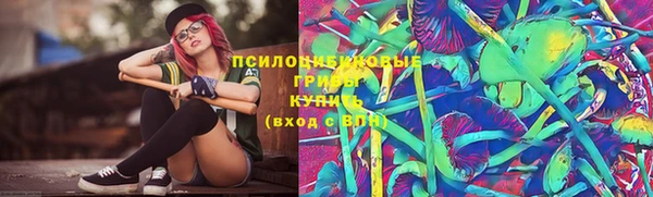 ГАЛЛЮЦИНОГЕННЫЕ ГРИБЫ Арсеньев