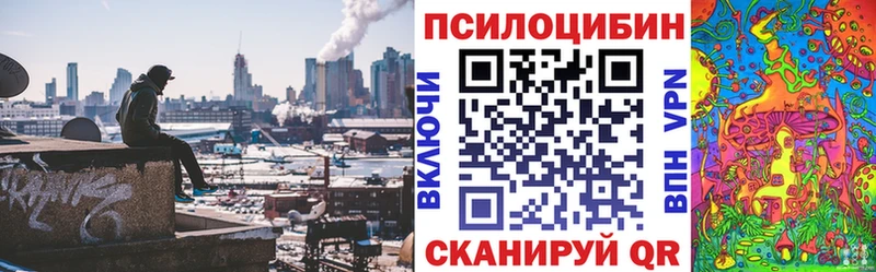 сколько стоит  Трубчевск  кракен ссылки  Псилоцибиновые грибы мухоморы 