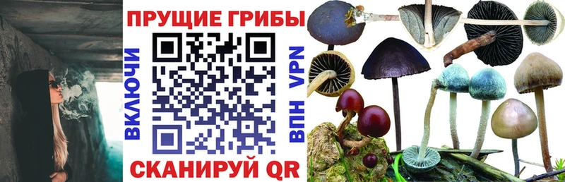 Псилоцибиновые грибы GOLDEN TEACHER Трубчевск